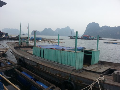 Village flottant des pêcheurs sans Têt à la baie Bai Tu Long